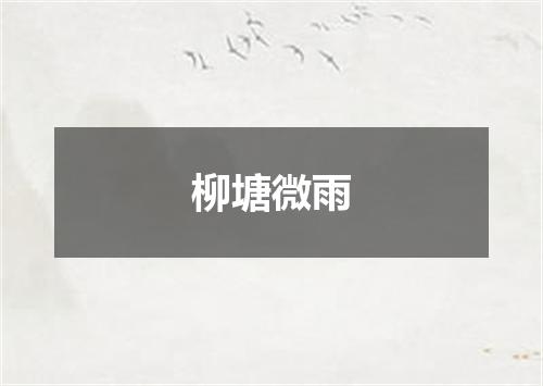 柳塘微雨