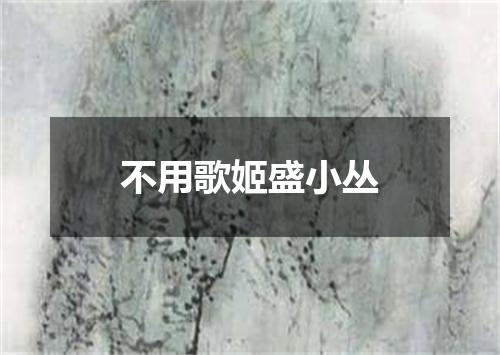 不用歌姬盛小丛