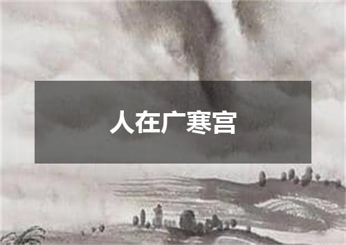 人在广寒宫
