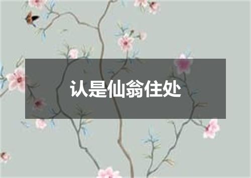 认是仙翁住处