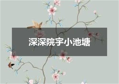 深深院宇小池塘