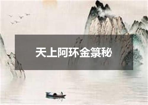 天上阿环金箓秘
