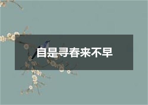 自是寻春来不早