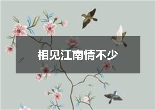 相见江南情不少