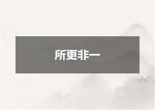 所更非一