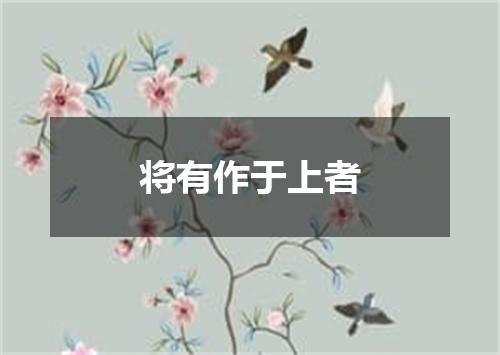 将有作于上者