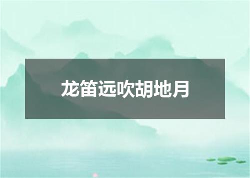 龙笛远吹胡地月