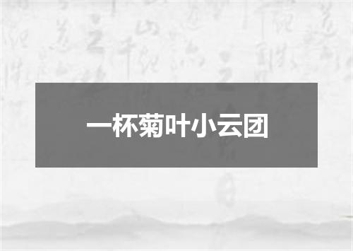 一杯菊叶小云团