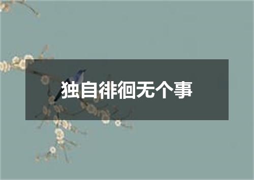 独自徘徊无个事