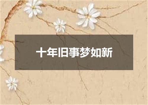 十年旧事梦如新