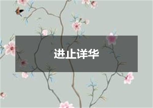 进止详华