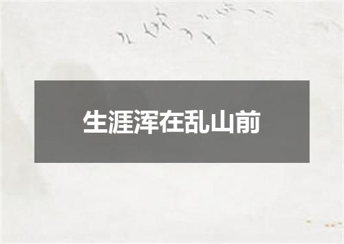 生涯浑在乱山前