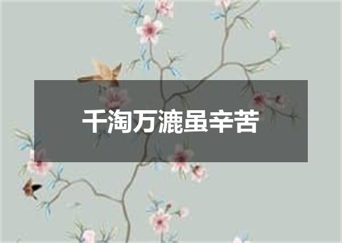 千淘万漉虽辛苦