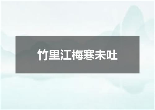 竹里江梅寒未吐