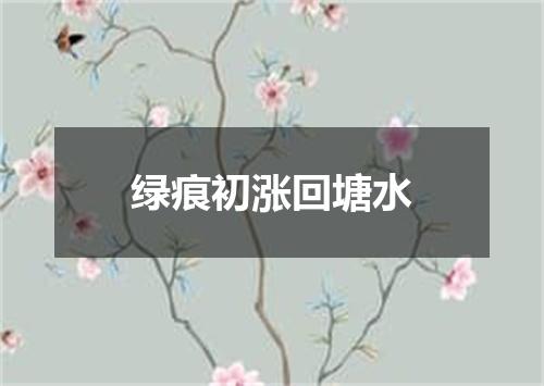 绿痕初涨回塘水
