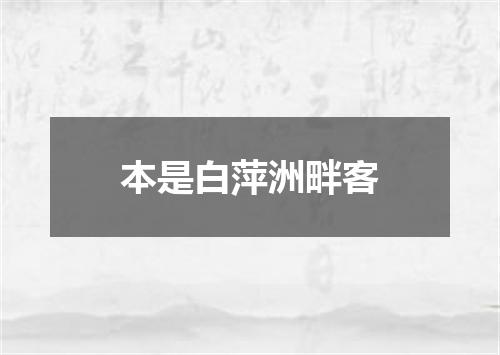 本是白萍洲畔客