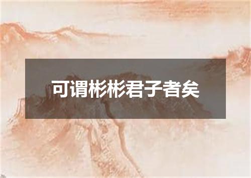 可谓彬彬君子者矣