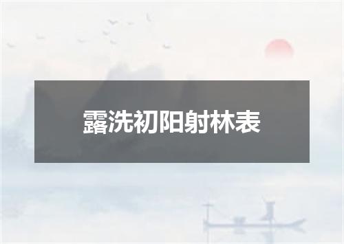 露洗初阳射林表