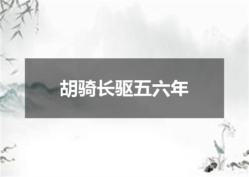 胡骑长驱五六年