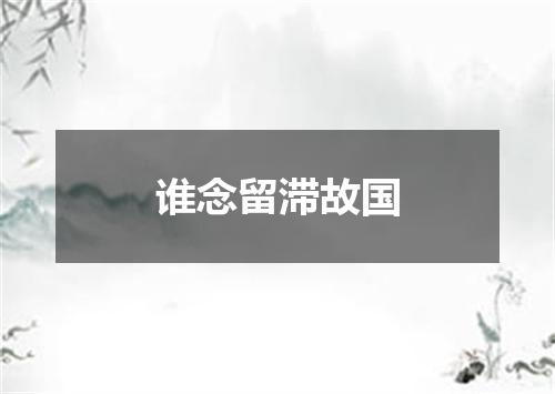 谁念留滞故国