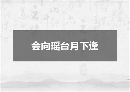 会向瑶台月下逢