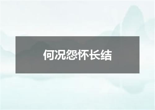 何况怨怀长结