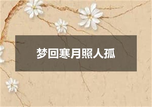 梦回寒月照人孤