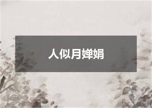 人似月婵娟