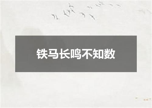 铁马长鸣不知数