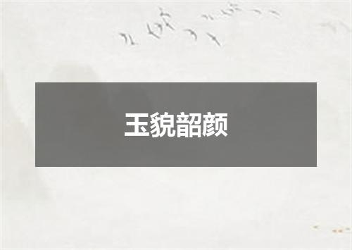 玉貌韶颜