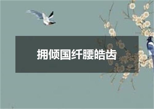 拥倾国纤腰皓齿