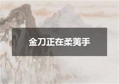 金刀正在柔荑手