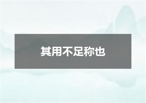 其用不足称也