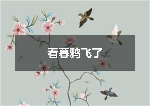 看暮鸦飞了
