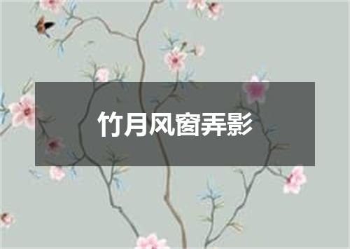 竹月风窗弄影