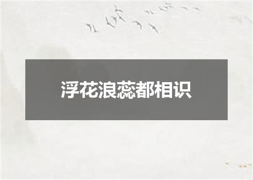 浮花浪蕊都相识