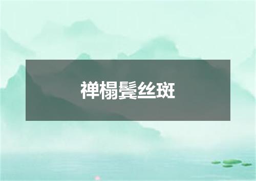 禅榻鬓丝斑