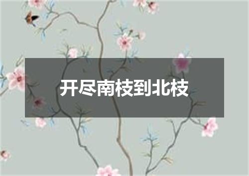 开尽南枝到北枝