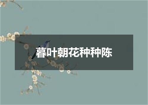 暮叶朝花种种陈