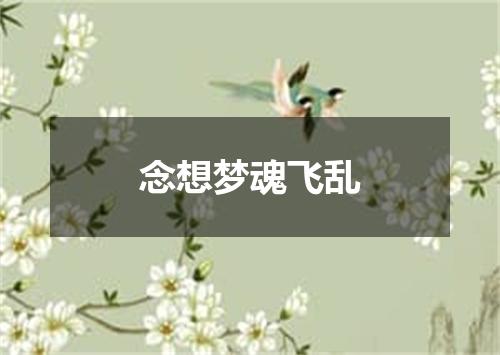 念想梦魂飞乱