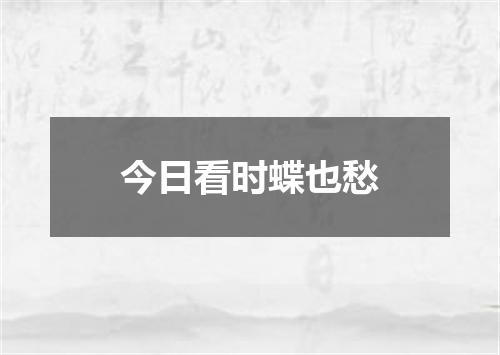 今日看时蝶也愁