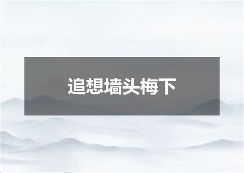 追想墙头梅下