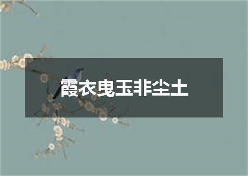 霞衣曳玉非尘土