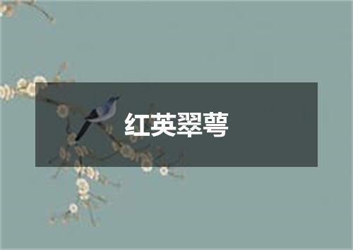 红英翠萼