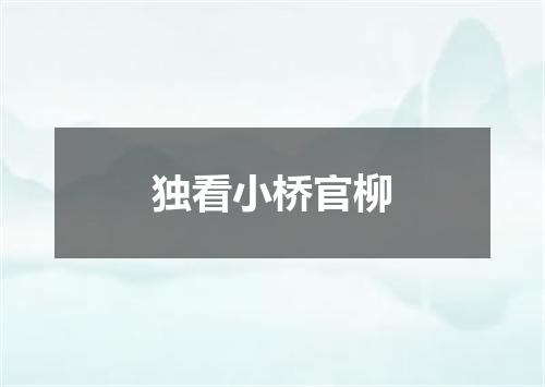 独看小桥官柳