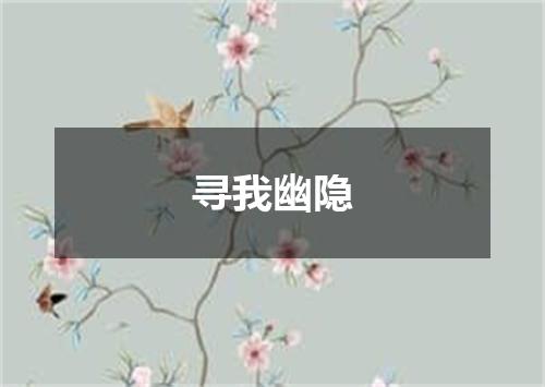 寻我幽隐