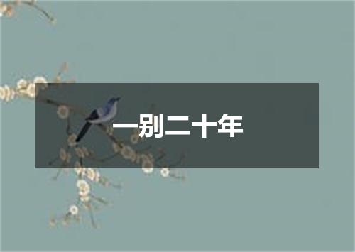 一别二十年