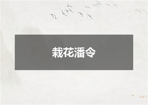 栽花潘令