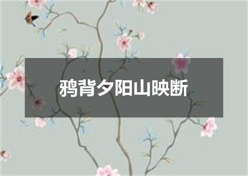 鸦背夕阳山映断