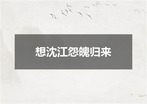 想沈江怨魄归来